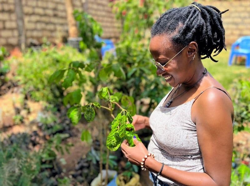 A photo of a woman holding onto a seedling