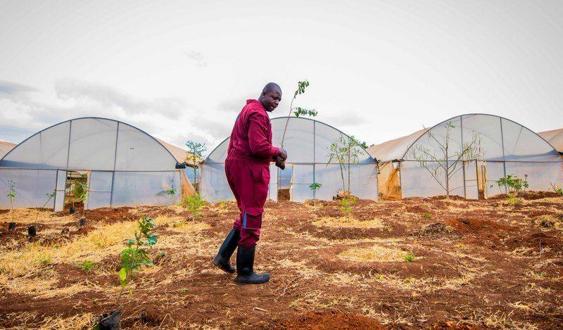 A photo of a man in gumboots and maroon jumpsuit at a farm with three greenhouses in the background